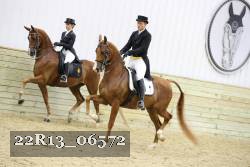 22R13_06572 thumbnail