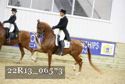22R13_06573 thumbnail