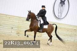 22R13_06574 thumbnail