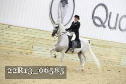 22R13_06585 thumbnail