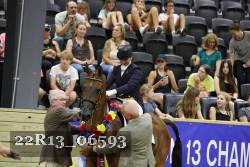 22R13_06593 thumbnail