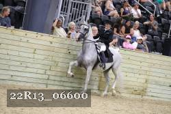 22R13_06600 thumbnail