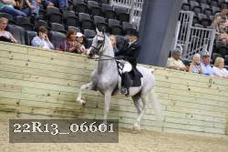 22R13_06601 thumbnail