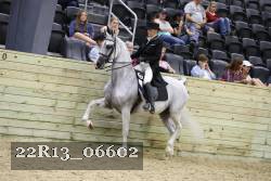 22R13_06602 thumbnail