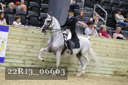 22R13_06603 thumbnail