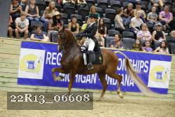 22R13_06608 thumbnail