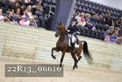 22R13_06610 thumbnail
