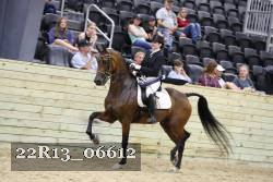 22R13_06612 thumbnail