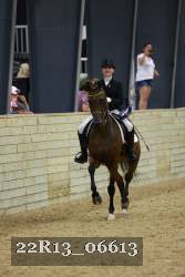 22R13_06613 thumbnail