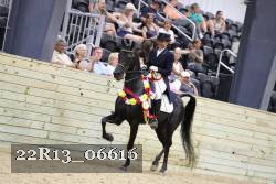22R13_06616 thumbnail