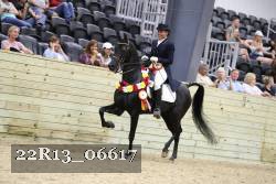 22R13_06617 thumbnail