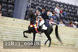 22R13_06618 thumbnail