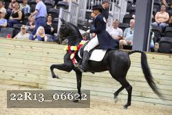 22R13_06622 thumbnail