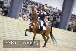 22R13_06625 thumbnail