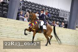 22R13_06627 thumbnail