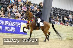 22R13_06628 thumbnail