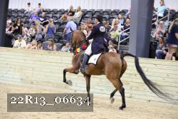 22R13_06634 thumbnail
