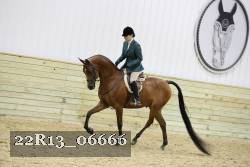 22R13_06666 thumbnail