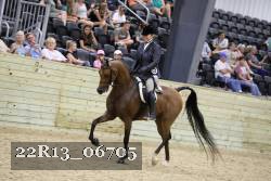 22R13_06705 thumbnail