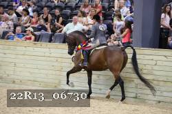 22R13_06730 thumbnail