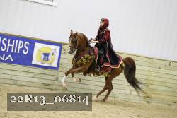 22R13_06814 thumbnail