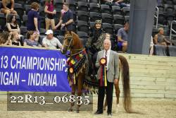 22R13_06835 thumbnail