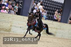 22R13_06840 thumbnail