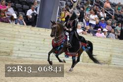 22R13_06841 thumbnail