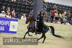 22R13_06842 thumbnail