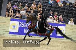 22R13_06843 thumbnail