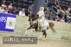 22R13_06847 thumbnail