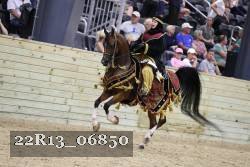22R13_06850 thumbnail