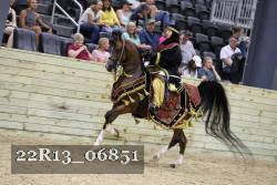 22R13_06851 thumbnail