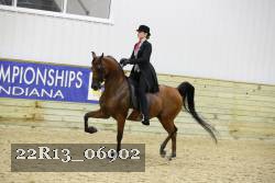 22R13_06902 thumbnail
