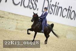 22R13_06928 thumbnail