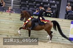 22R13_06966 thumbnail