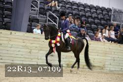 22R13_07199 thumbnail