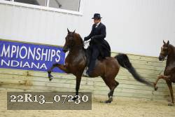 22R13_07230 thumbnail