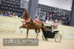 22R13_07768 thumbnail