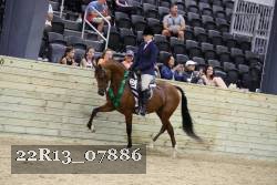 22R13_07886 thumbnail