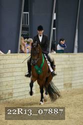 22R13_07887 thumbnail
