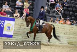 22R13_07888 thumbnail