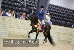 22R13_07892 thumbnail