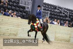 22R13_07893 thumbnail