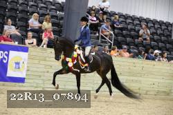 22R13_07894 thumbnail