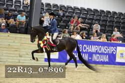 22R13_07896 thumbnail