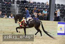 22R13_07897 thumbnail