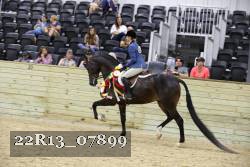 22R13_07899 thumbnail