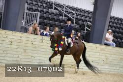 22R13_07902 thumbnail