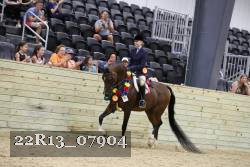 22R13_07904 thumbnail